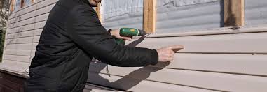 Best Vinyl Siding Installation  in , AK